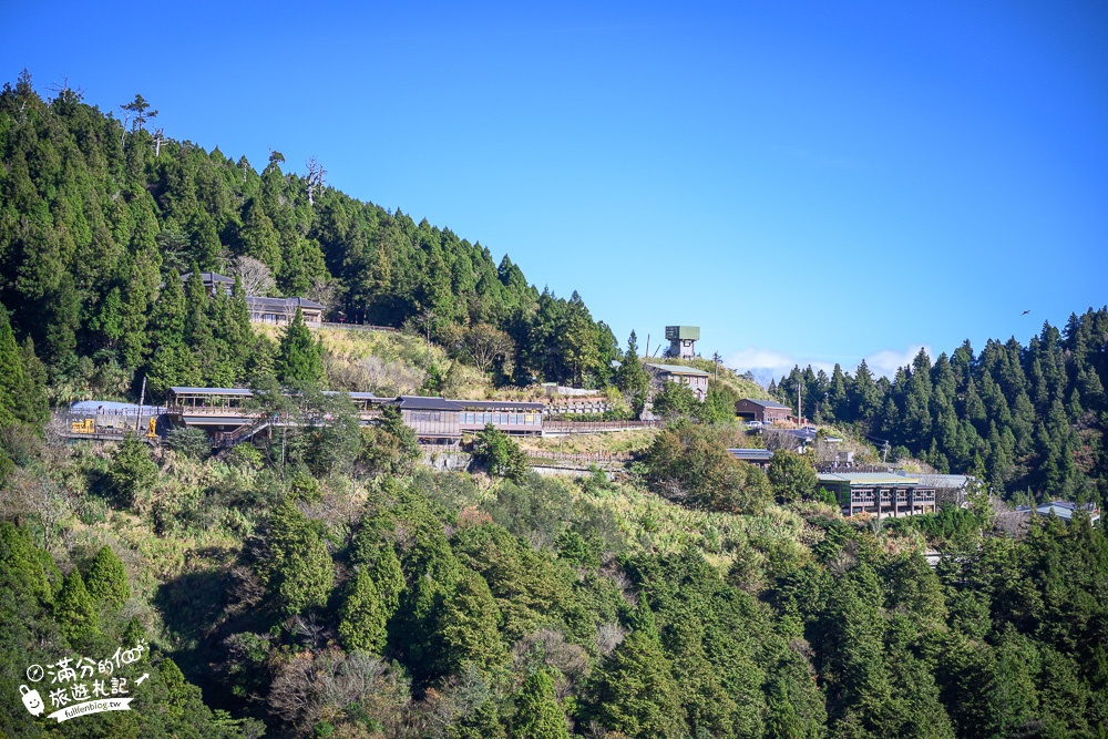 宜蘭太平山森林蹦蹦車玩樂購票攻略!貓頭鷹森林小火車.雲海步道,茂興站森林步道滿滿芬多精!