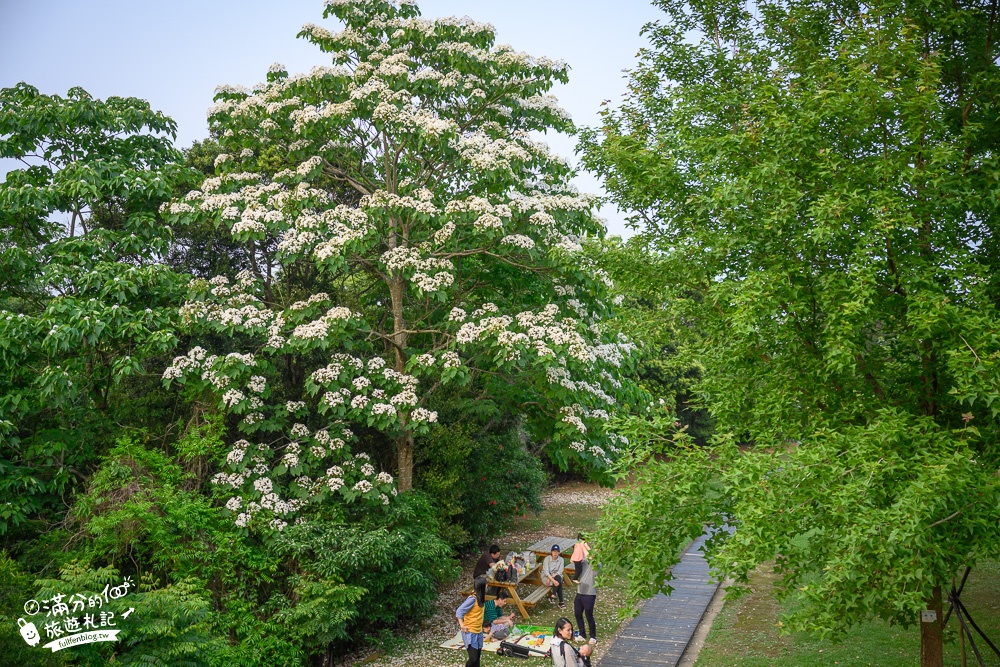 苗栗景點【好客公園】苗栗銅鑼賞桐秘境.台灣客家文化館浪漫四月雪,桐花步道.周邊順遊景點美食!