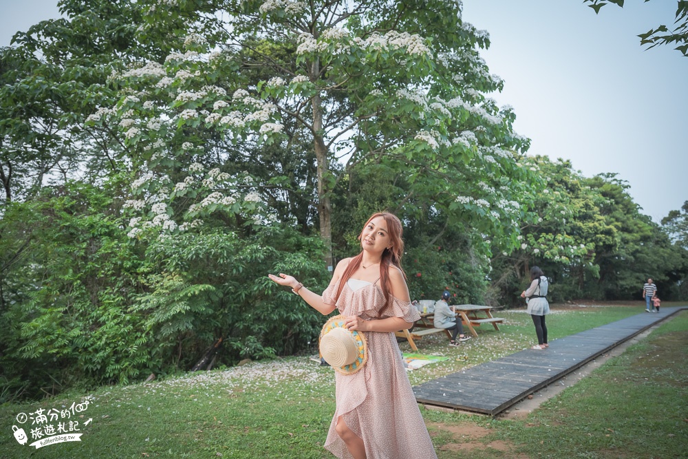 苗栗景點【好客公園】苗栗銅鑼賞桐秘境.台灣客家文化館浪漫四月雪,桐花步道.周邊順遊景點美食!