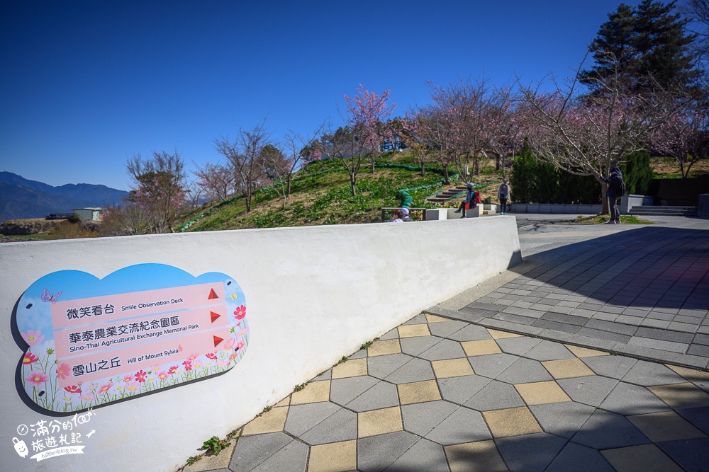 台中福壽山農場｜百櫻園賞櫻花.逛果園.遊客中心吃泡麵~最新雪山之丘飽覽群山之美,福壽山美景玩樂攻略!