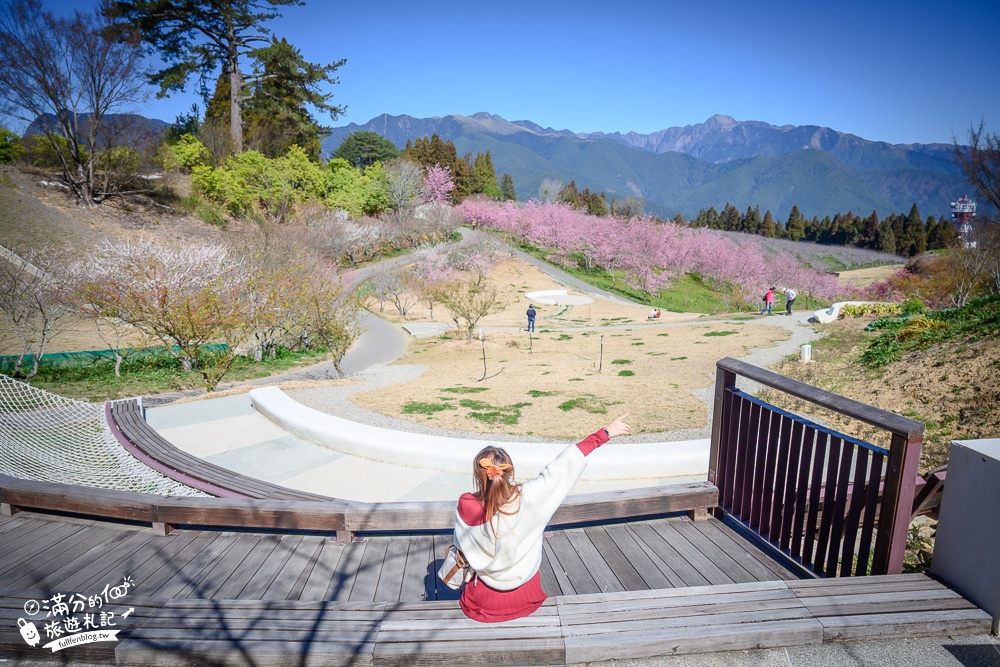 台中福壽山農場｜百櫻園賞櫻花.逛果園.遊客中心吃泡麵~最新雪山之丘飽覽群山之美,福壽山美景玩樂攻略!