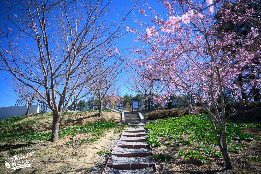 台中福壽山農場｜百櫻園賞櫻花.逛果園.遊客中心吃泡麵~最新雪山之丘飽覽群山之美,福壽山美景玩樂攻略!