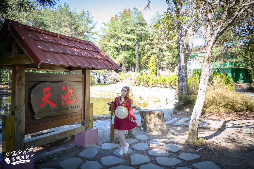 【2024福壽山農場一日遊】千櫻園.百櫻園賞櫻花.松廬賞楓.天池看雪山.夢幻蘋果村,距離天空最近休閒農場!