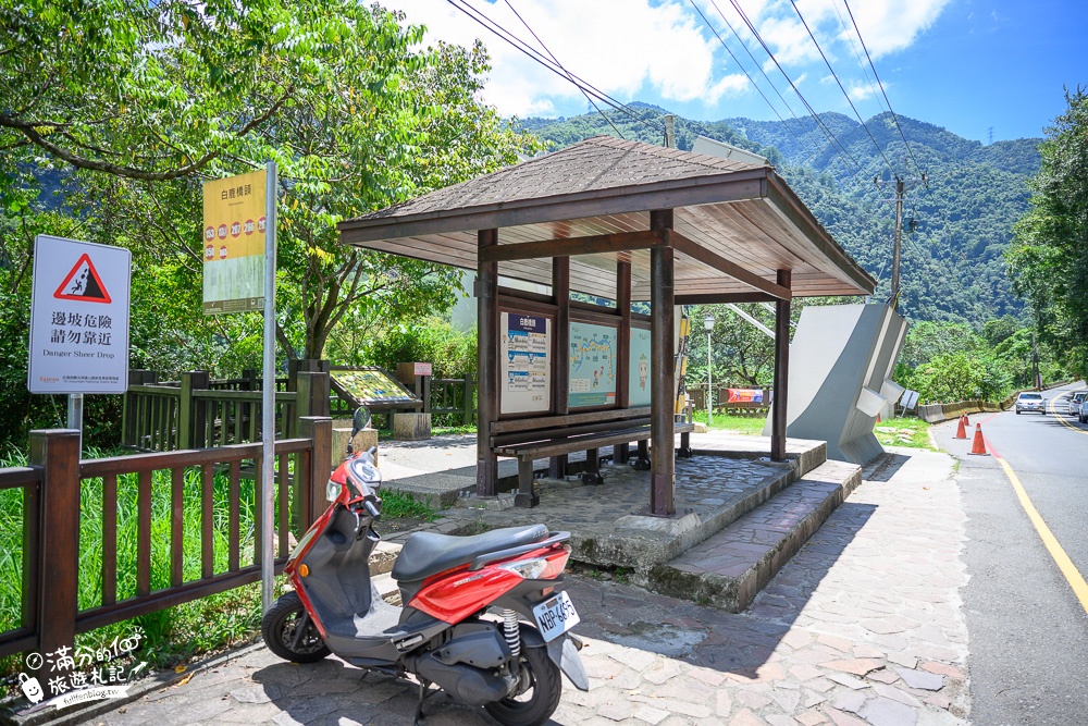 台中景點|白鹿吊橋(免門票)谷關最美吊橋,開車即達輕鬆步行~大甲溪川盡收眼底!