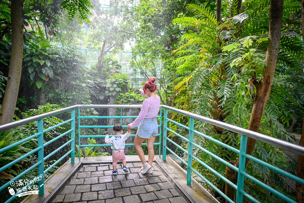 台中植物園【國立自然科學博物館植物園】台中最美熱帶雨林.巨無霸珠光鳳蝶好吸睛,城市裡的亞馬遜河!