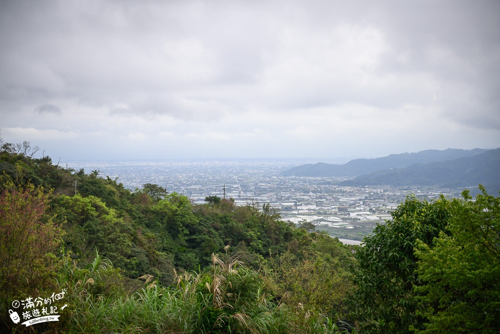 宜蘭景點｜玉蘭茶園(免門票)望山景.看蘭陽平原.賞櫻花.體驗在茶田中泡茶,必吃炸茶葉超特別!