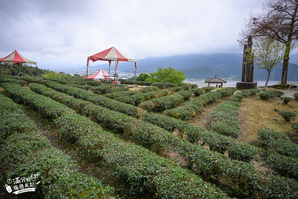 宜蘭景點｜玉蘭茶園(免門票)望山景.看蘭陽平原.賞櫻花.體驗在茶田中泡茶,必吃炸茶葉超特別!