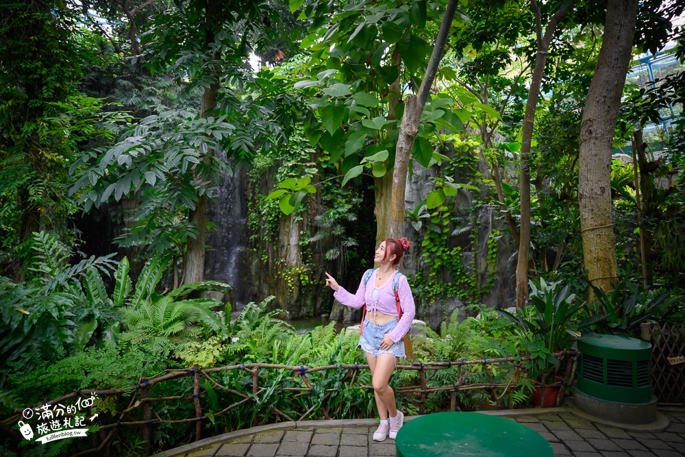 台中植物園【國立自然科學博物館植物園】台中最美熱帶雨林.巨無霸珠光鳳蝶好吸睛,城市裡的亞馬遜河!