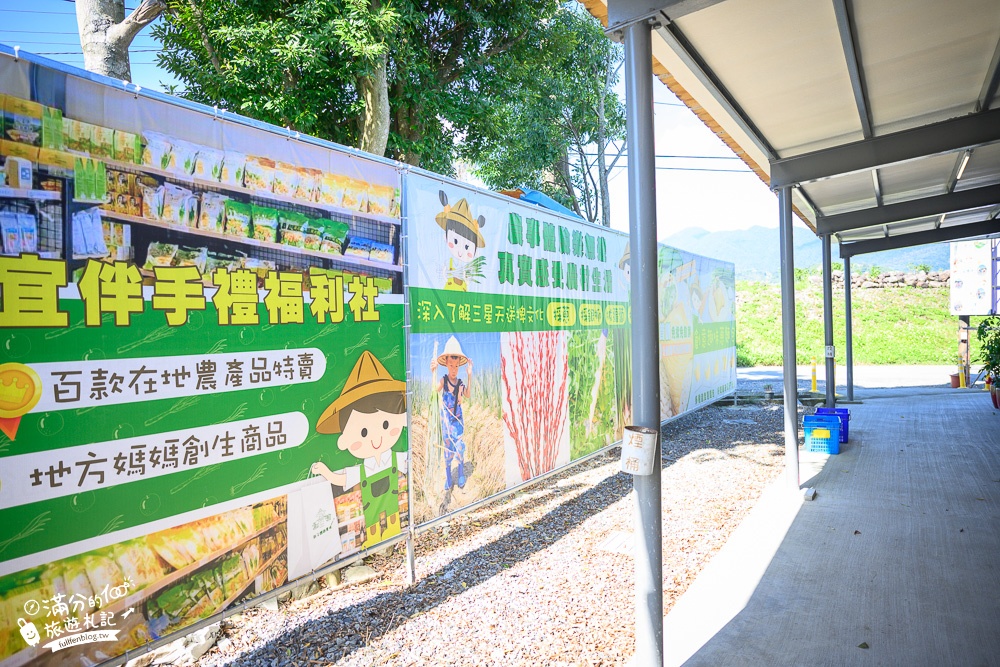 宜蘭新景點【初咪體驗農場】三星蔥田秘境.採蔥.拔蘿蔔.剪銀柳.手作造型蔥麵包,親子必訪~背景就是中央山脈!