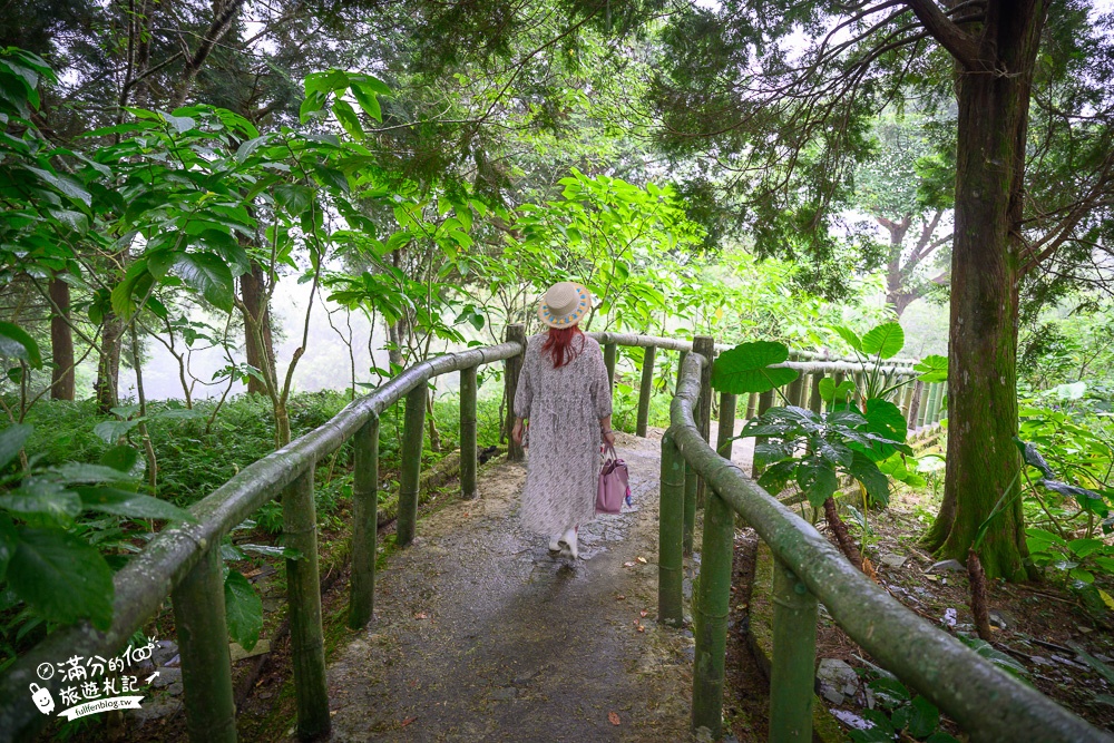 台東【太麻里青山農場】金針山上的繡球花園綻放中,賞繡球.喝咖啡.望金針山~口袋私房名單!