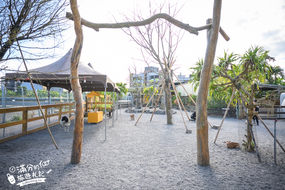 宜蘭【回巢】礁溪荒野沙漠親子農場,最新鸚鵡鳥園超療癒,還有笑笑羊.天竺鼠.水豚陪你玩!