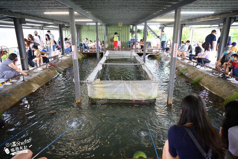 宜蘭景點【蘭楊蟹莊】2024泰國蝦生態園區門票資訊.保證有蝦,專人教學,蝦池清澈看的到~現釣現吃好玩又滿足!