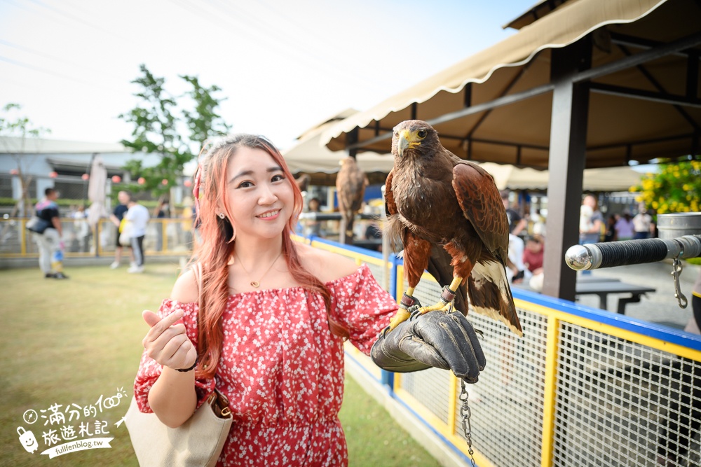 高雄【嘎逼&牛奶互動園區】北高雄最新可愛動物農場,水豚羊駝小鹿狐獴大集合!