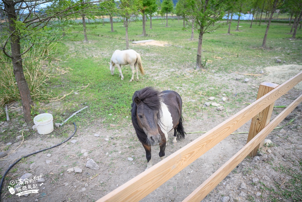 宜蘭景點【稻庄休閒農場】門票資訊遊園攻略.餵水豚.小馬兒.玩電動車,隱身田野間的親子農場!