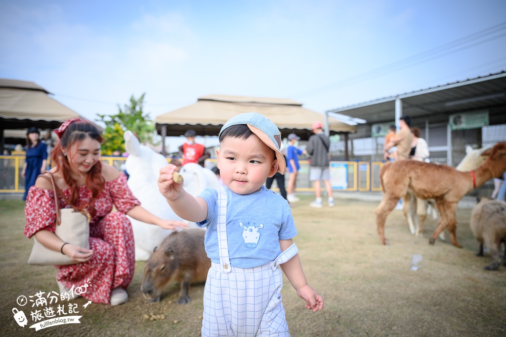 高雄【嘎逼&牛奶互動園區】北高雄最新可愛動物農場,水豚羊駝小鹿狐獴大集合!