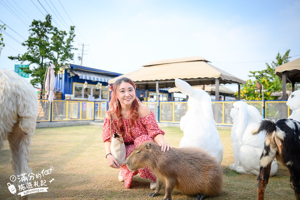 高雄【嘎逼&牛奶互動園區】北高雄最新可愛動物農場,水豚羊駝小鹿狐獴大集合!