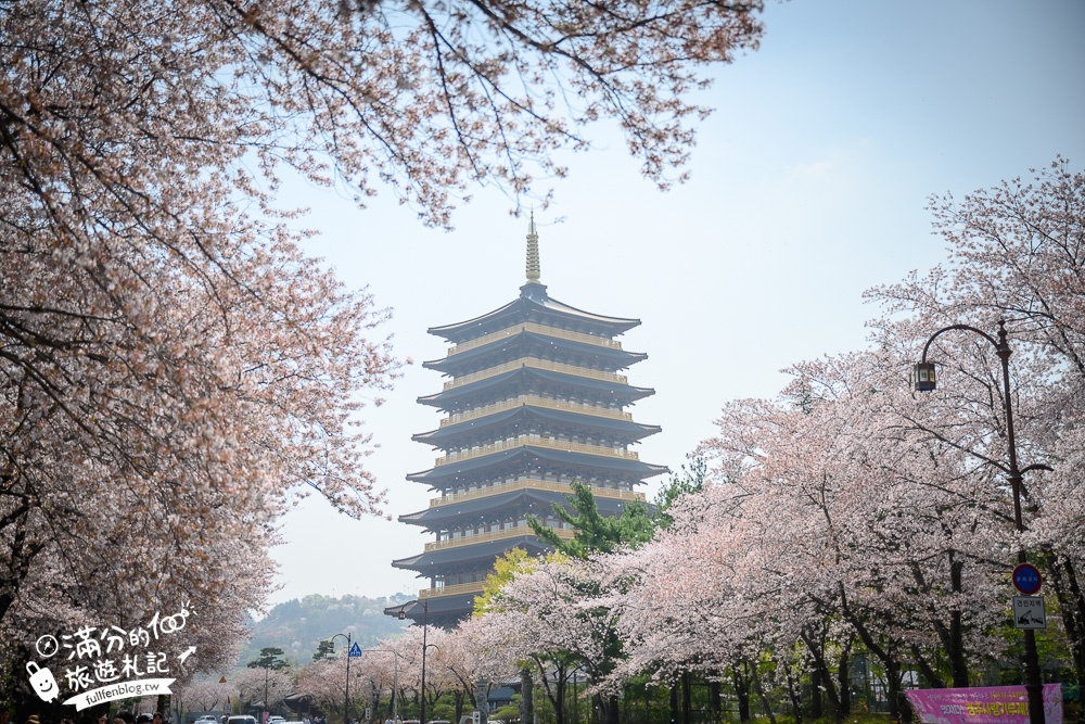 【2024釜山賞櫻景點推薦】TOP.10個釜山熱門櫻花景點攻略.不可錯過的釜山賞櫻秘境!