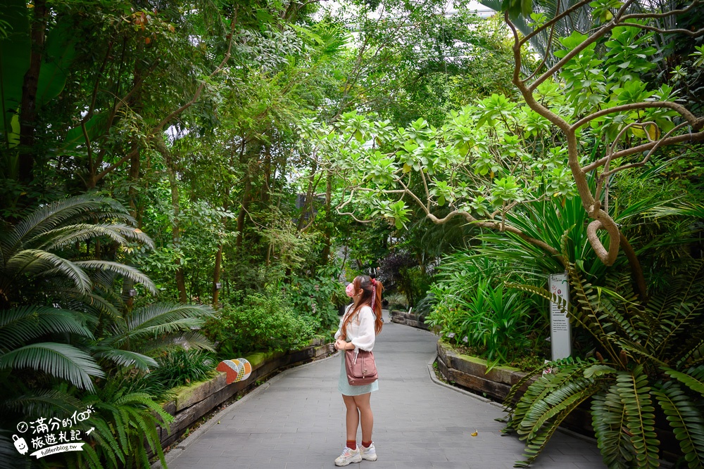 台北景點|臺北典藏植物園(免門票)城市裡的玻璃花坊,漫步熱帶雨林享受森林浴!