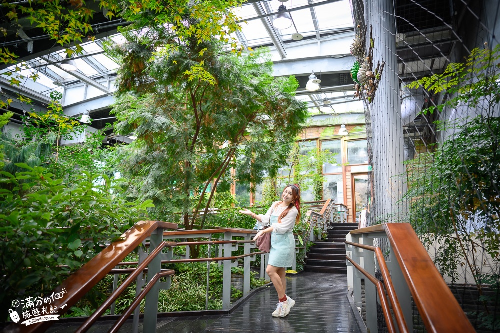 台北景點|臺北典藏植物園(免門票)城市裡的玻璃花坊,漫步熱帶雨林享受森林浴!