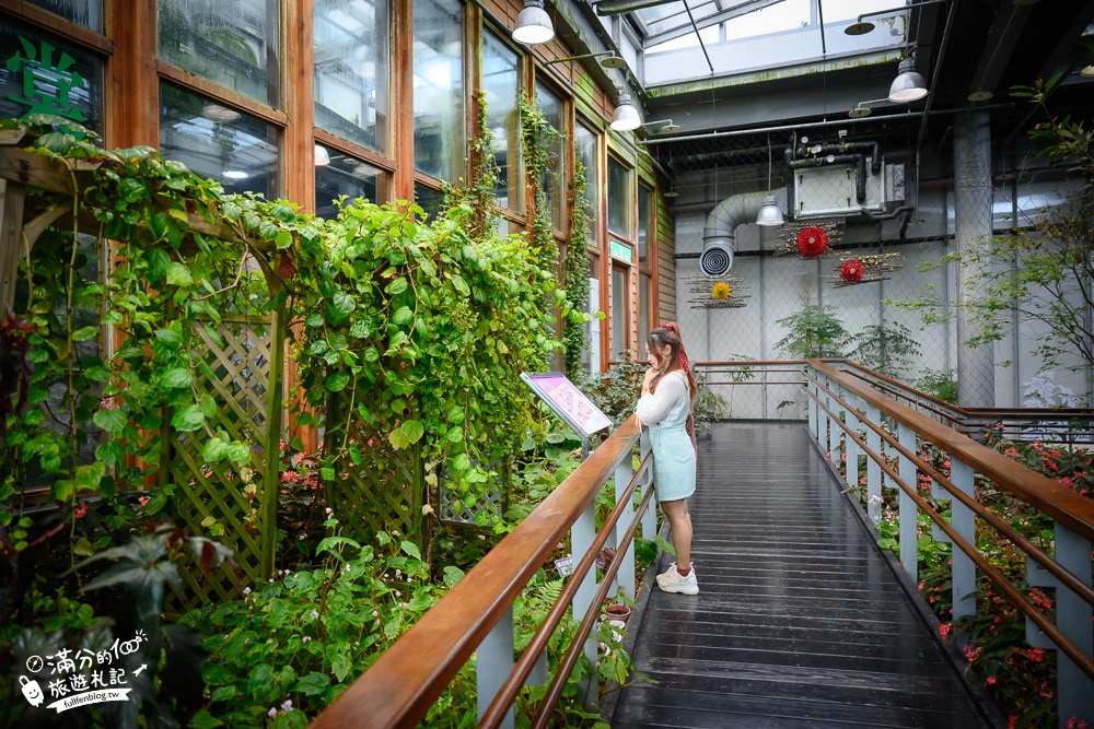 台北景點|臺北典藏植物園(免門票)城市裡的玻璃花坊,漫步熱帶雨林享受森林浴!