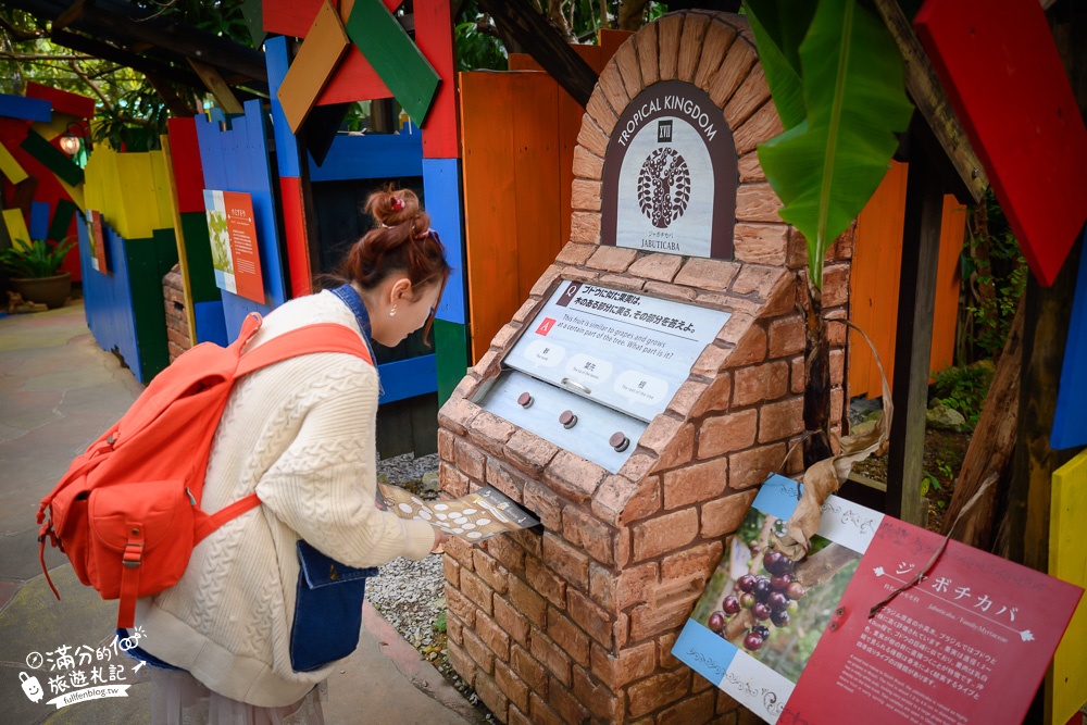 沖繩景點｜沖繩水果王國,探索超過30種熱帶水果,餵鸚鵡,闖關精靈村~沖繩親子室內景點,必拍繽紛水果樹!