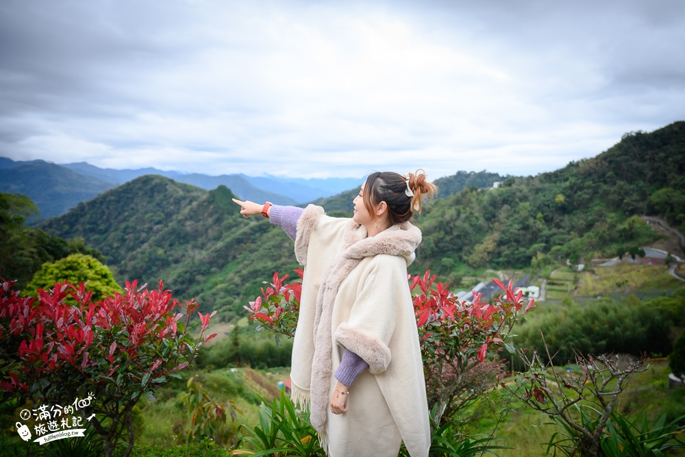 嘉義景點|雲瀑谷咖啡館|望山.看雲海.喝咖啡~山谷搖滾區,群山包圍的童話小屋!