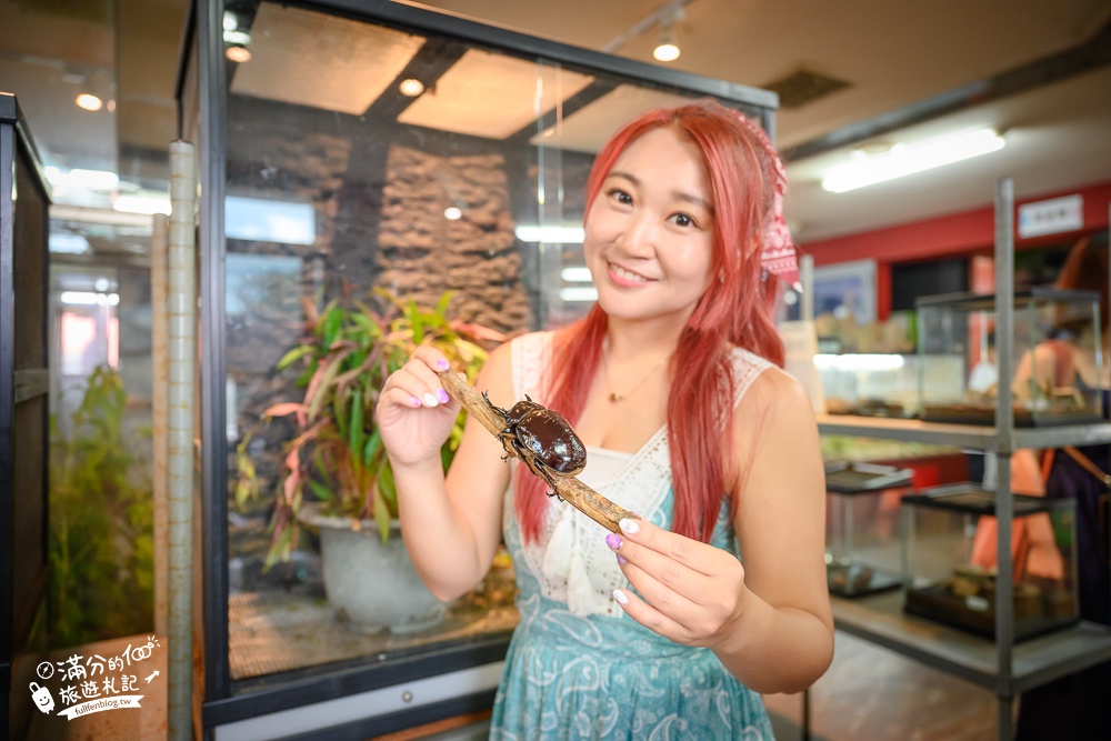 【南投蝴蝶小鎮生態休閒園區】木生昆蟲博物館最新門票資訊.蝴蝶會停在你身上的夢幻蝴蝶園!