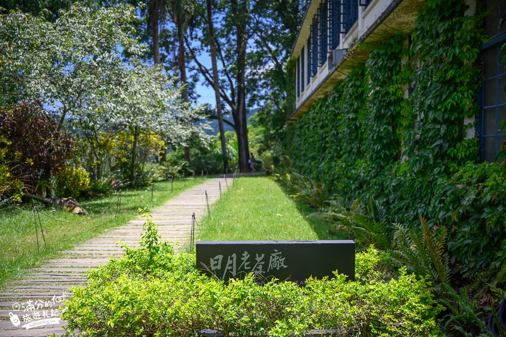 南投景點|日月老茶廠(免門票)望山景.看茶田.品茶香~在老屋茶廠裡拍美照!