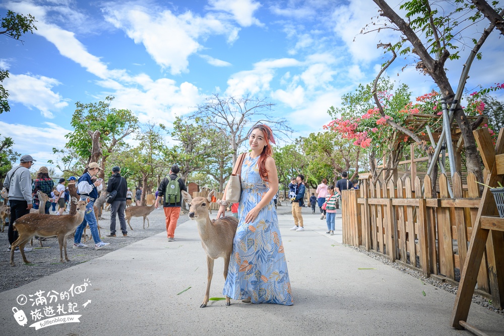 屏東【墾丁鹿境梅花鹿生態園區】南國最美小奈良,靠近小鹿斑比.水豚一次滿足!