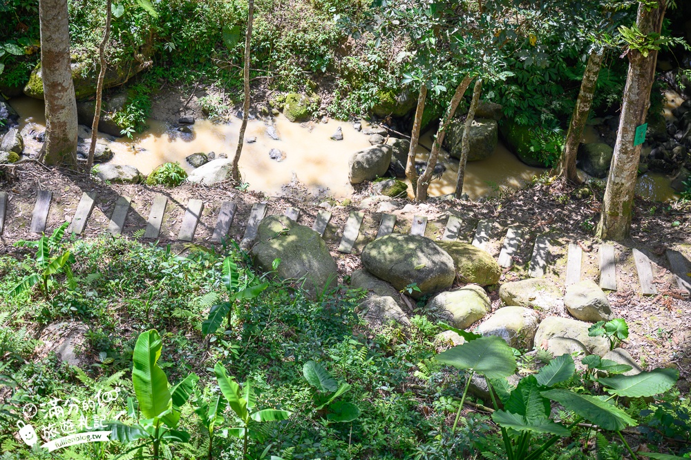 新竹【藍月山谷】橫山鄉景觀咖啡,森林小木屋花園,吃牛肉麵喝咖啡,還能漫遊天空步道!