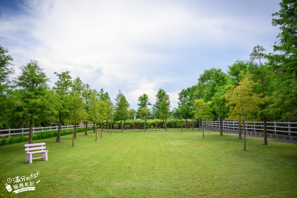 新竹景點|諾米娜下午時光|超夢幻童話森林花園,周六日限定開放~大草地.落羽松秘境好愜意!