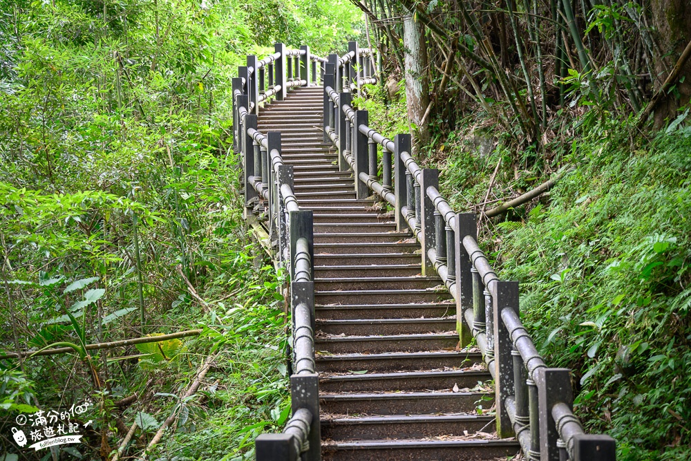 苗栗景點【蓬萊溪護魚步道】免門票賞魚秘境,超綿長石澗溪流~綠林生態小仙境!