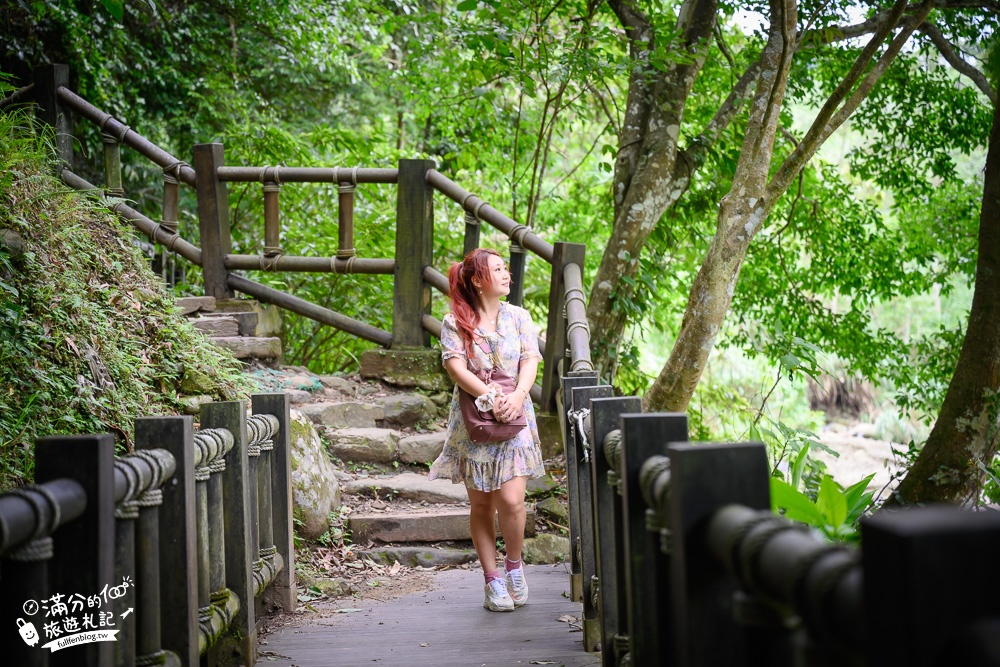 苗栗景點【蓬萊溪護魚步道】免門票賞魚秘境,超綿長石澗溪流~綠林生態小仙境!