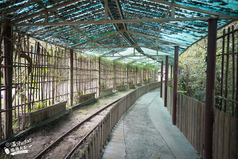 新北景點｜新平溪煤礦博物館,煤礦主題觀光園區,礦工體驗一日遊玩樂攻略~搭乘全台唯一的獨眼小火車!