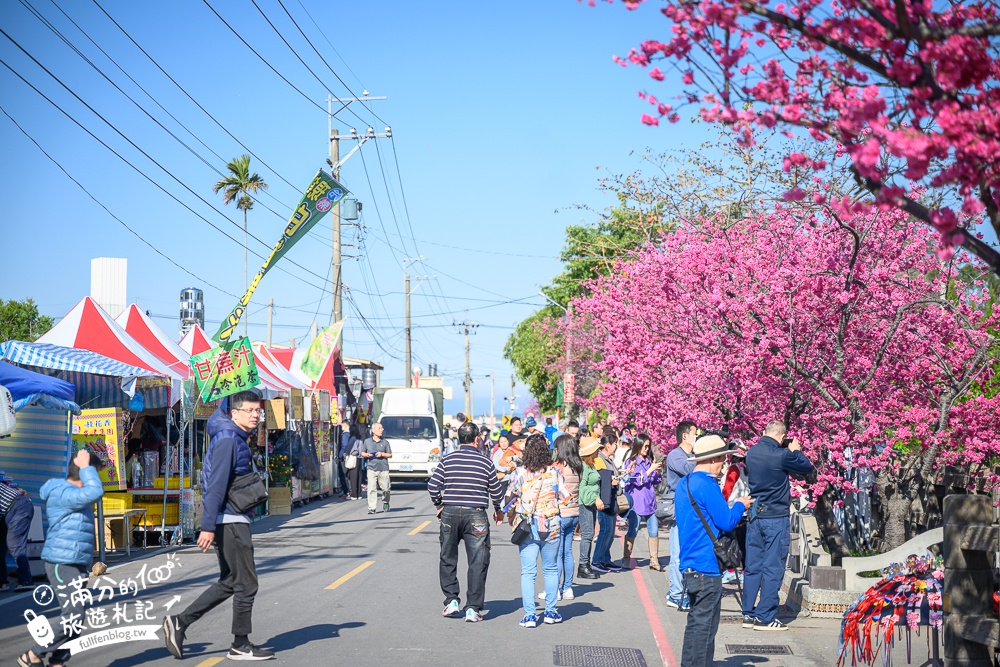 2024后里泰安櫻花季【泰安派出所】最新花況,全台最美派出所,八重櫻炸裂綻放中,賞櫻逛市集吃美食!