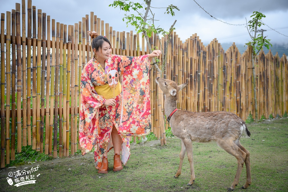 花蓮景點【張家樹園】吉安日本村,免費和服體驗.餵梅花鹿~偽出國玩日式小鎮!