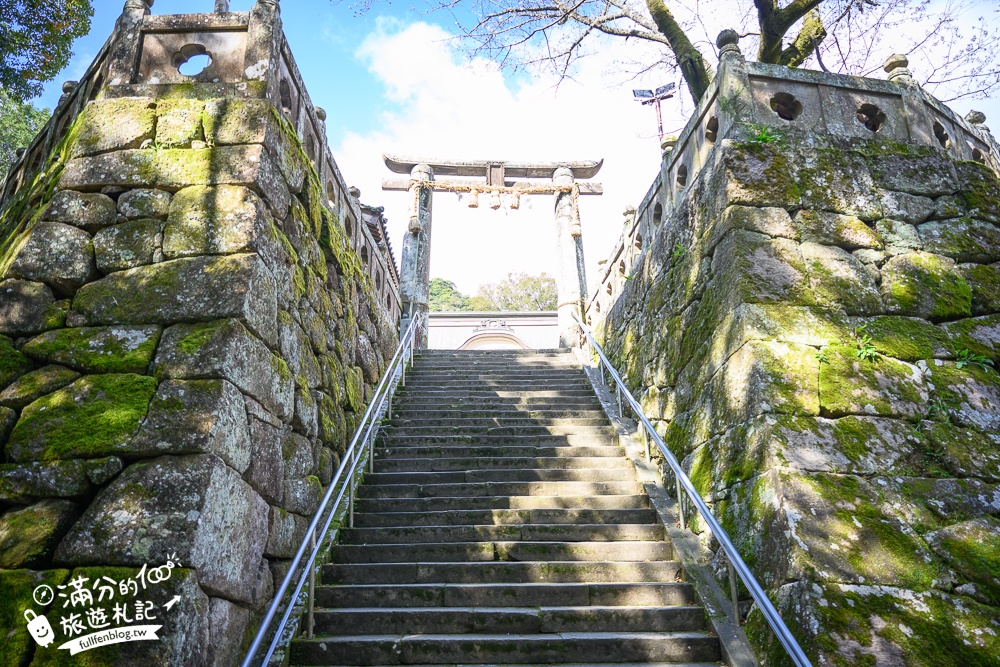 【2024武雄神社】佐賀櫻花景點推薦,看大楠神木.賞櫻花.鳥居櫻花超迷人!