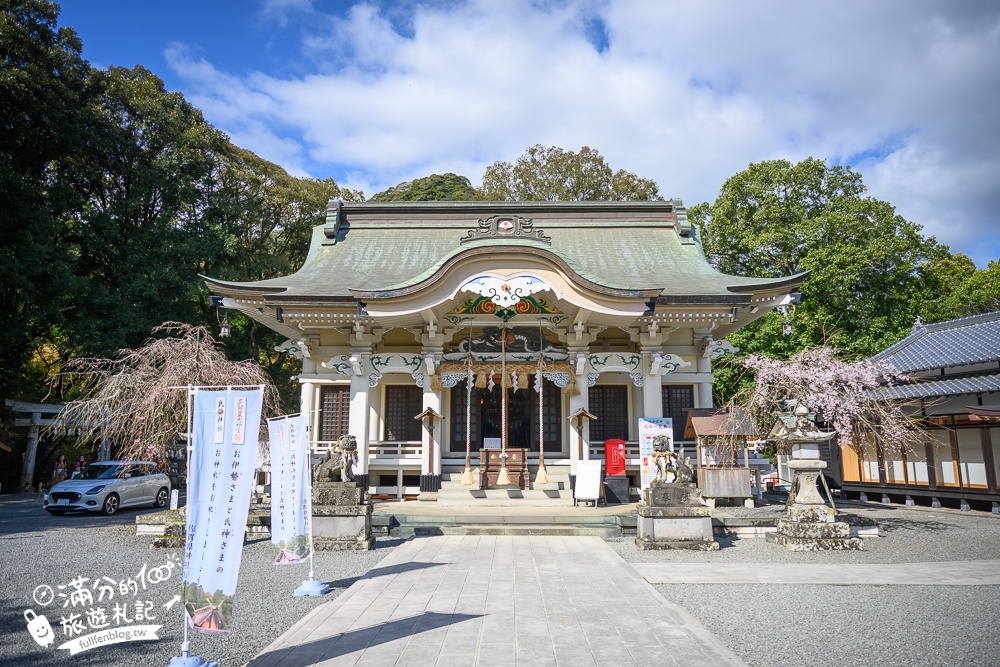 【2024武雄神社】佐賀櫻花景點推薦,看大楠神木.賞櫻花.鳥居櫻花超迷人!