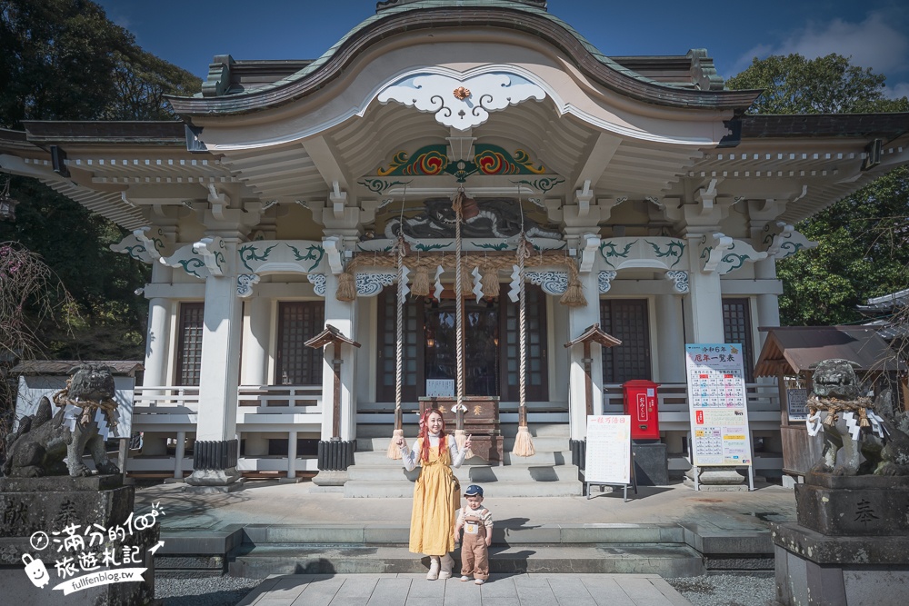 【2024武雄神社】佐賀櫻花景點推薦,看大楠神木.賞櫻花.鳥居櫻花超迷人!