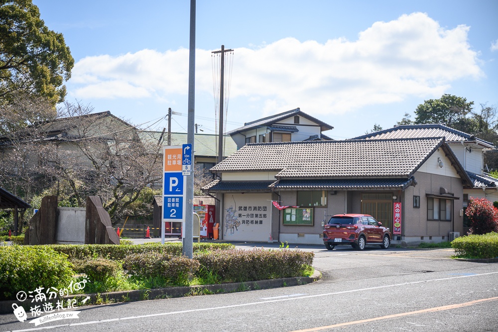 【2024武雄神社】佐賀櫻花景點推薦,看大楠神木.賞櫻花.鳥居櫻花超迷人!