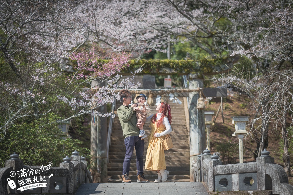 【2024武雄神社】佐賀櫻花景點推薦,看大楠神木.賞櫻花.鳥居櫻花超迷人!