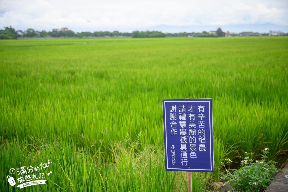 【宜蘭三奇美徑】冬山伯朗大道,宜蘭冬山稻間美徑,大自然絕美的彩稻布畫!