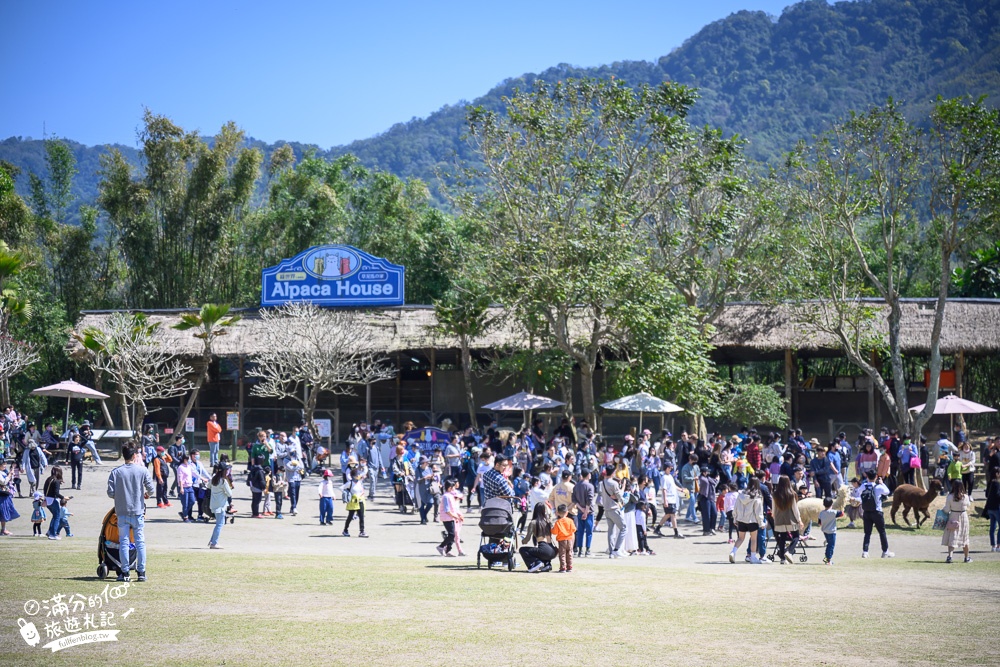 新竹景點｜綠世界生態農場怎麼玩？門票資訊.玩樂攻略,2023最新蜜蜂星球可愛又童趣!