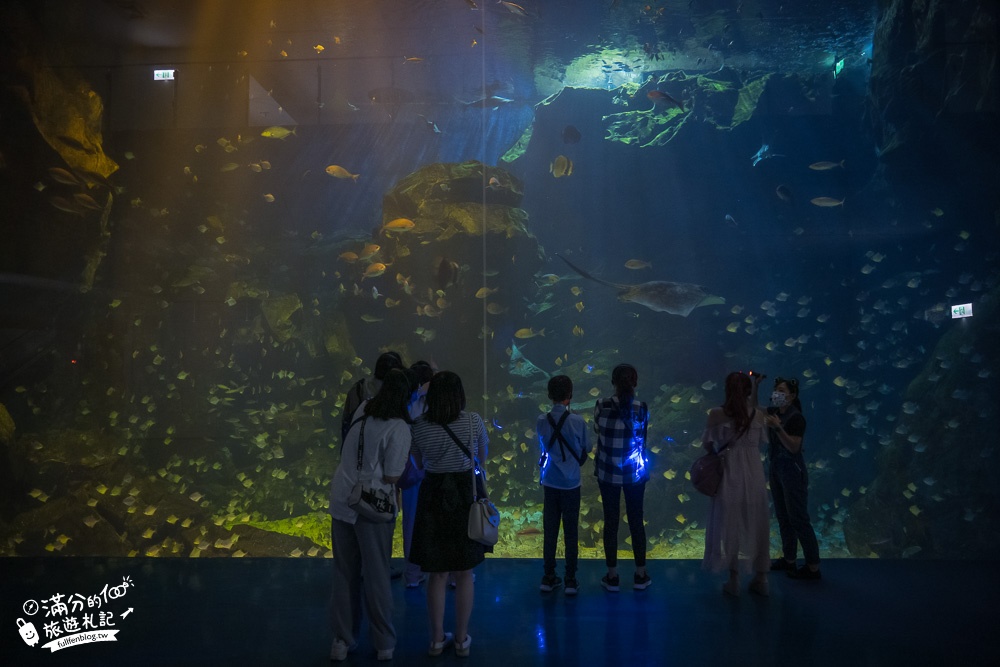 【桃園Blu Night宿海奇遇】夜宿Xpark水族館一泊四食精彩玩,沉浸式水族冒險體驗,海景第一排與魚群們一起入眠!