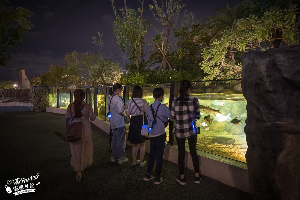 【桃園Blu Night宿海奇遇】夜宿Xpark水族館一泊四食精彩玩,沉浸式水族冒險體驗,海景第一排與魚群們一起入眠!