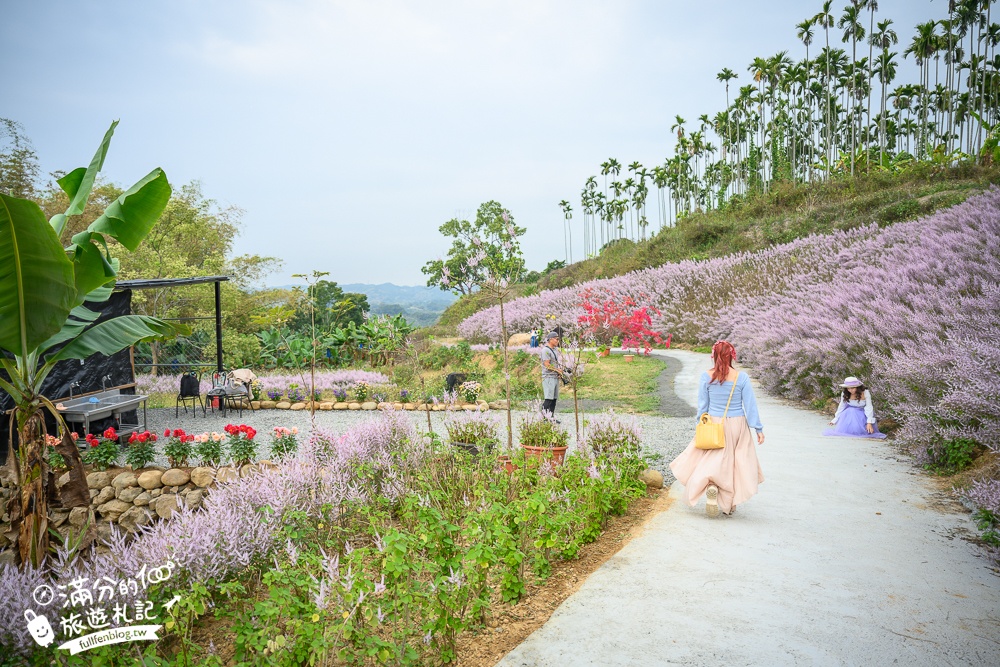 2024【瑰蜜甜心玫瑰園】中寮粉紅山丘麝香木最新花況.門票資訊拍照攻略.櫻花.九重葛.風鈴木.許願藤一起看最強花園秘境!