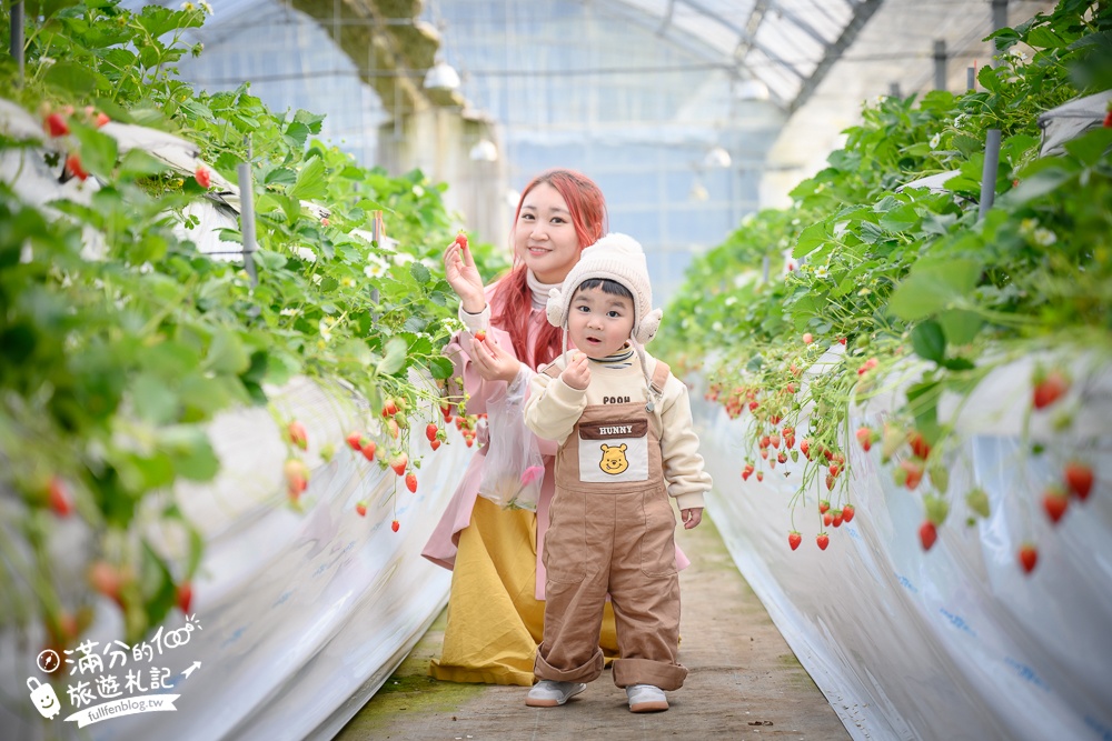 【福岡採草莓筑紫野草莓農園.白草莓甘王】福岡草莓吃到飽.現採現吃超好玩,還能順遊草莓咖啡館!