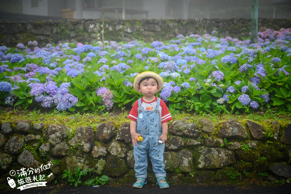 【2024北宜石牌縣界公園】最新花況.免門票繡球花園,可以看到龜山島和蘭陽平原的繡球秘境!