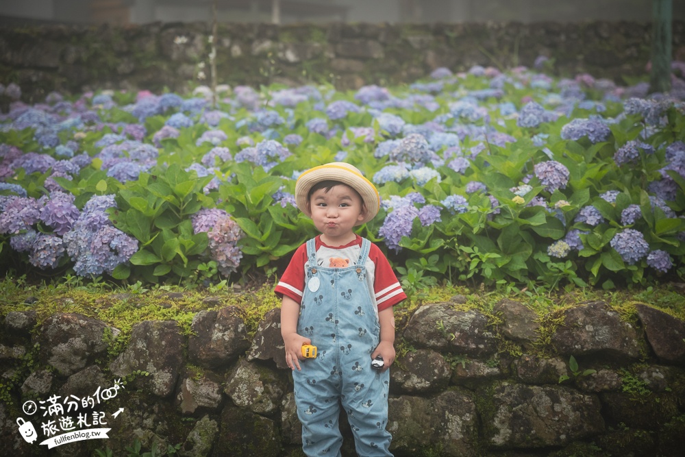 【2024北宜石牌縣界公園】最新花況.免門票繡球花園,可以看到龜山島和蘭陽平原的繡球秘境!