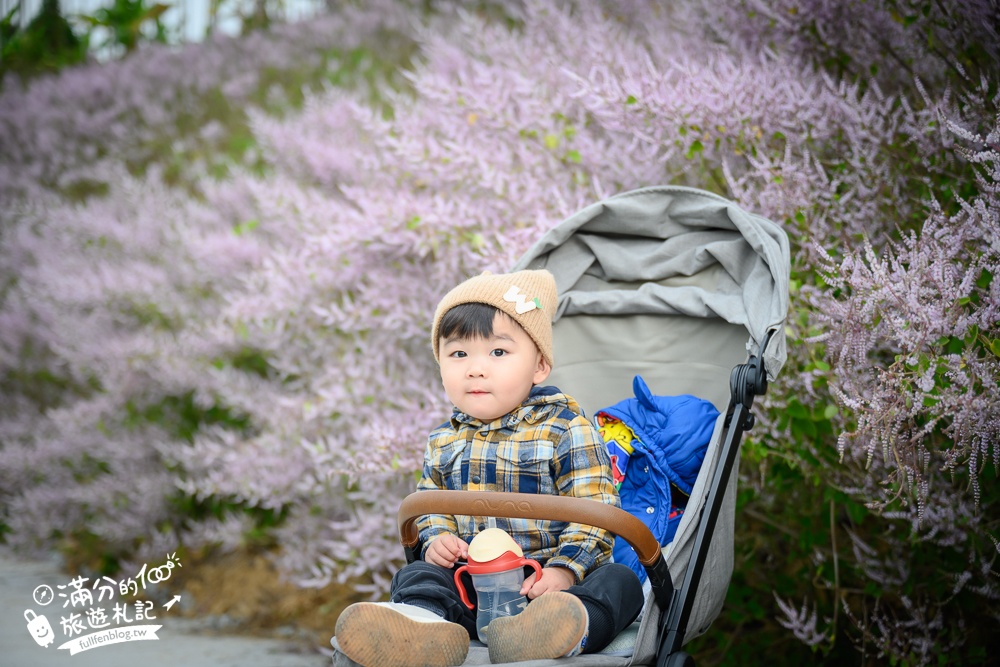 2024【瑰蜜甜心玫瑰園】中寮粉紅山丘麝香木最新花況.門票資訊拍照攻略.櫻花.九重葛.風鈴木.許願藤一起看最強花園秘境!